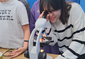 Snimka zaslona 2025-12-22 115755